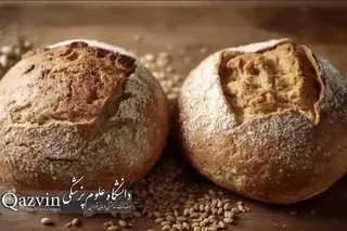 دانشگاه علوم پزشکی قزوین: نان کامل را با نان سبوس‌دار اشتباه نگیرید